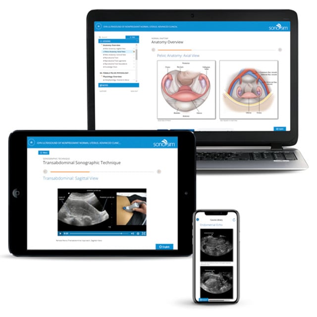 GYN Ultrasound of Nonpregnant Normal Uterus Advanced Clinical Training ...