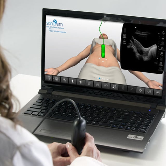 GYN Ultrasound of Nonpregnant Normal Uterus Advanced Clinical Training ...